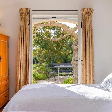 Soleil Marin - With Sea View Apartment Saint-Tropez